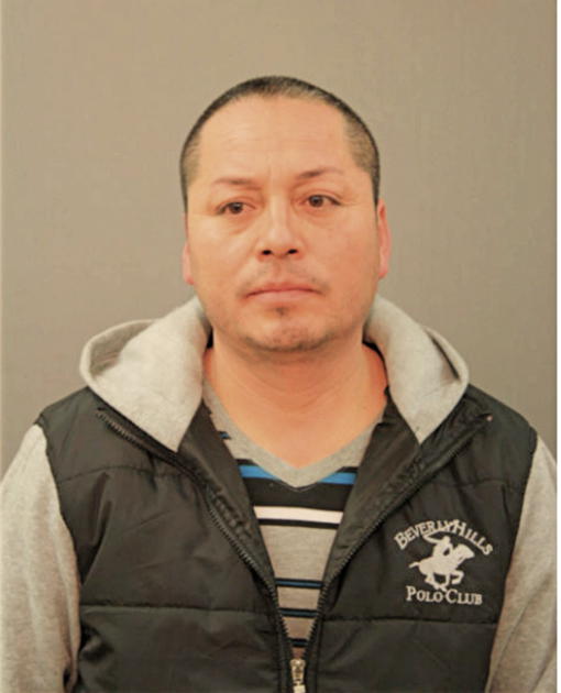 ALVINO C GARCIA, Cook County, Illinois