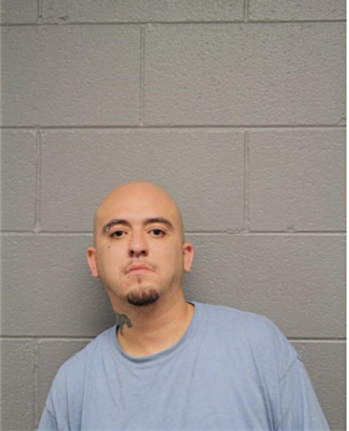 MICHAEL R GONZALEZ, Cook County, Illinois