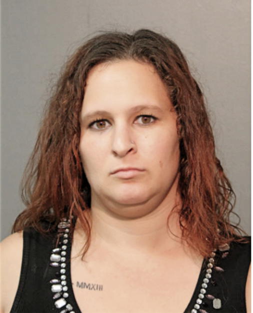 JESSICA LAUREN GOODMAN, Cook County, Illinois
