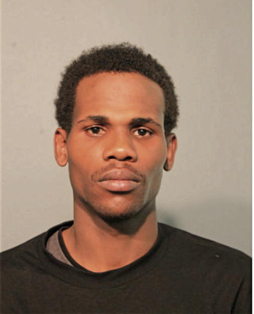 KEVIN E HAMANN, Cook County, Illinois