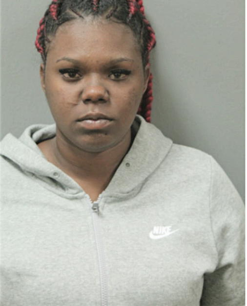 BRIANA S HEARD, Cook County, Illinois