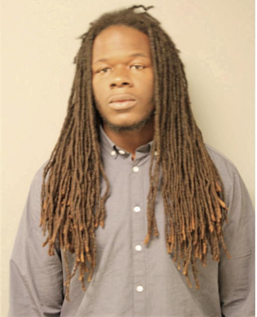 ROBERT L JONES, Cook County, Illinois