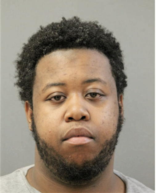 JAMES L LANG, Cook County, Illinois