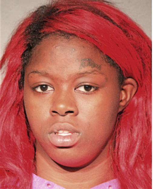 SHIRLEY M LEWIS, Cook County, Illinois