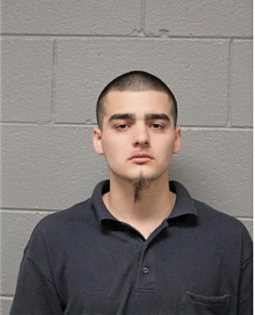 MATTHEW LOMAS, Cook County, Illinois