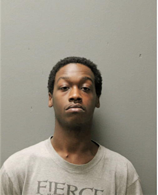 MICHAEL K LYDA, Cook County, Illinois