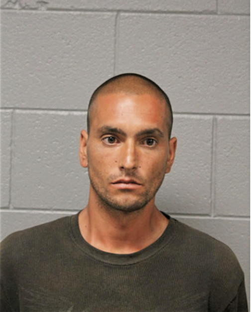 VEGA MELENDEZ, Cook County, Illinois