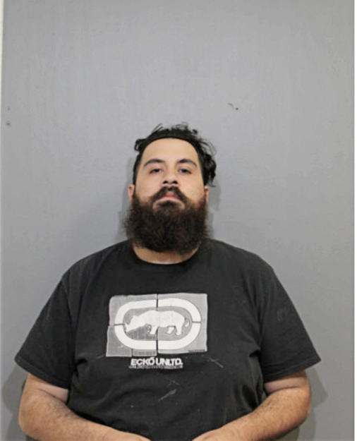 CHRISTIAN B ORTIZ, Cook County, Illinois