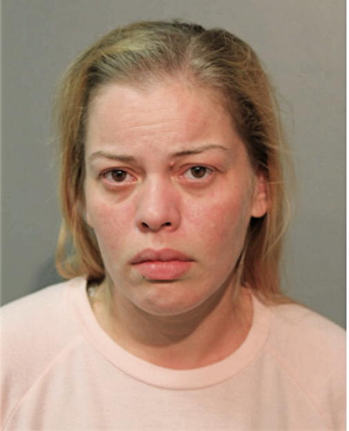MELANIE E RAMIREZ, Cook County, Illinois