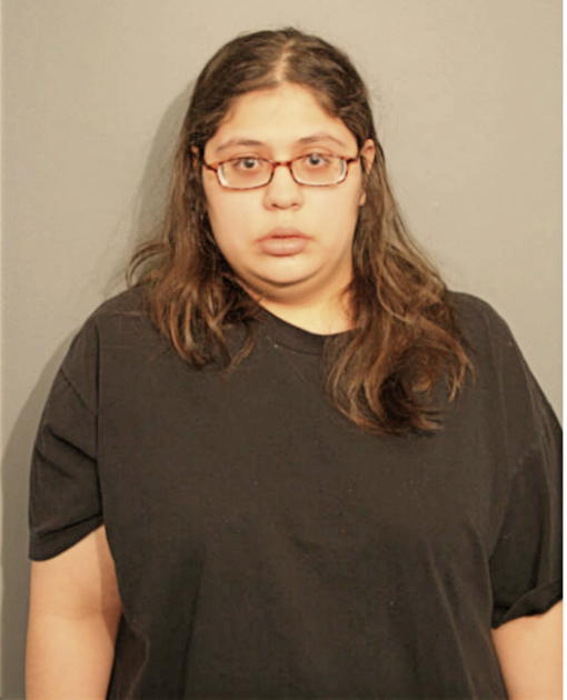 ELIZABETH J RIVAS, Cook County, Illinois