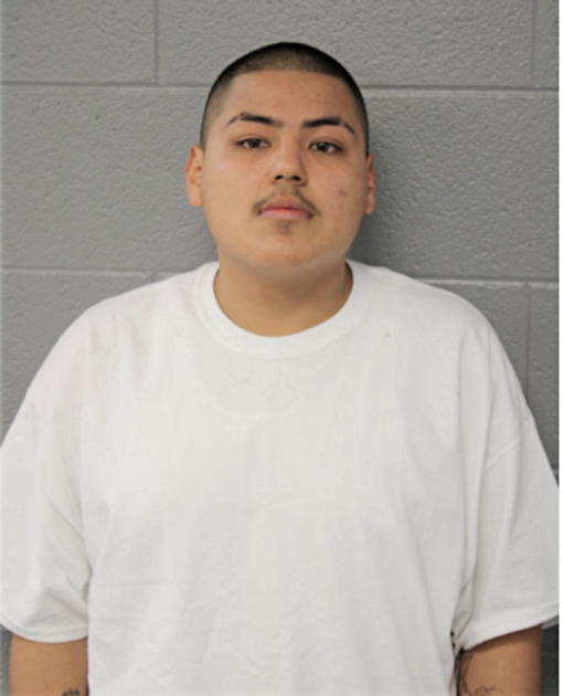 ERIC NMI TORRES, Cook County, Illinois