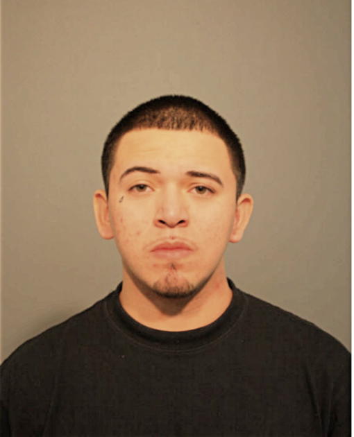 BRANDON VEGA, Cook County, Illinois