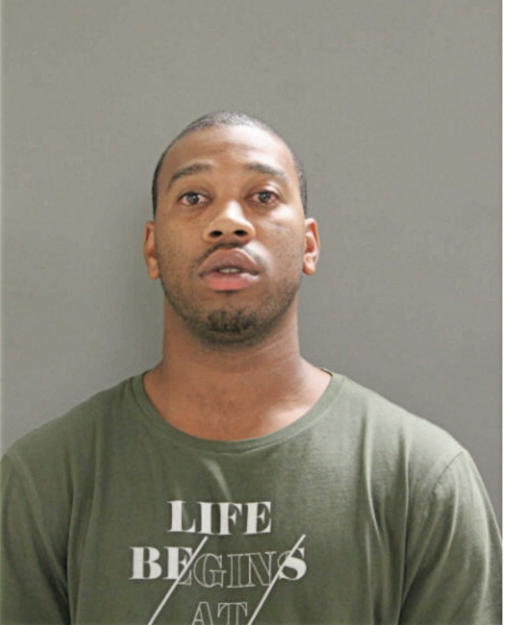 BRIAN D VINSON, Cook County, Illinois