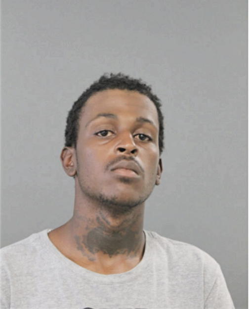 JAMES J WHITEHEAD, Cook County, Illinois