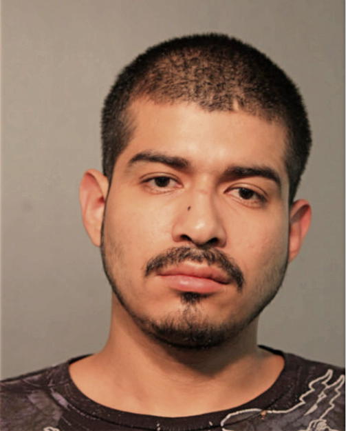 JUAN A OCAMPO, Cook County, Illinois