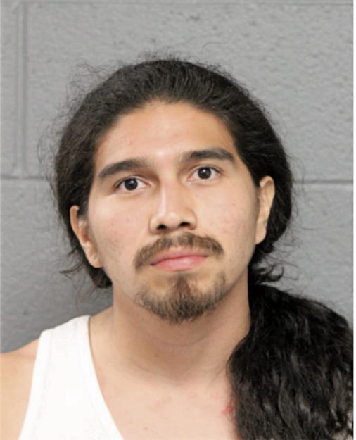 SANTANA A RODRIGUEZ, Cook County, Illinois