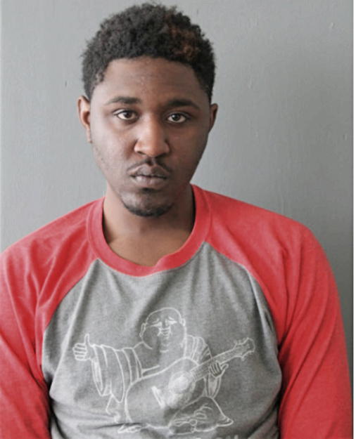 LONZIE L AUTREY, Cook County, Illinois