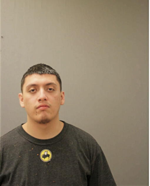 FERNANDO BRITO, Cook County, Illinois