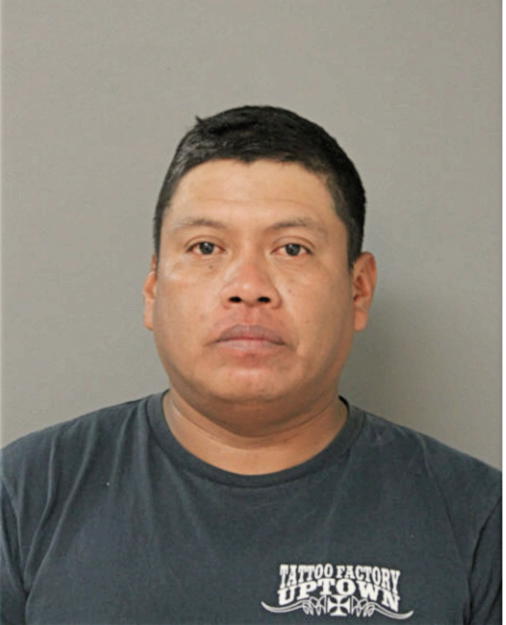 LUIS BUENO, Cook County, Illinois
