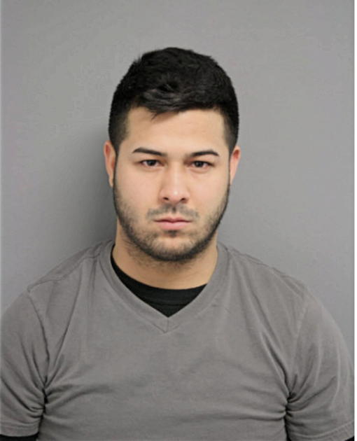 ANDRES DEJESUS, Cook County, Illinois