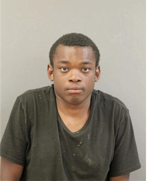 OLUMIDE O FOLARIN, Cook County, Illinois