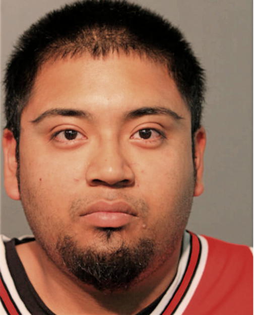VICTOR D GERARDO, Cook County, Illinois
