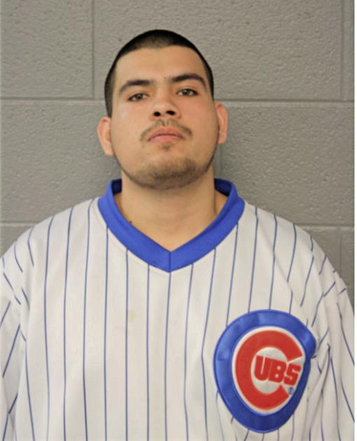 ERIC GUERECA, Cook County, Illinois