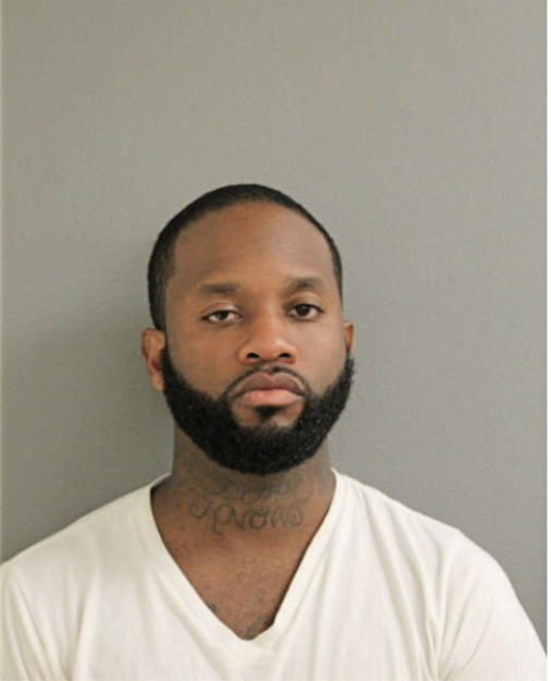 DARYL J HUNT, Cook County, Illinois
