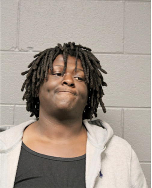 MICHAEL A JOHNSON, Cook County, Illinois