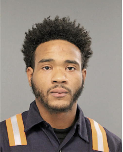 TRUSTIN D JOHNSON, Cook County, Illinois
