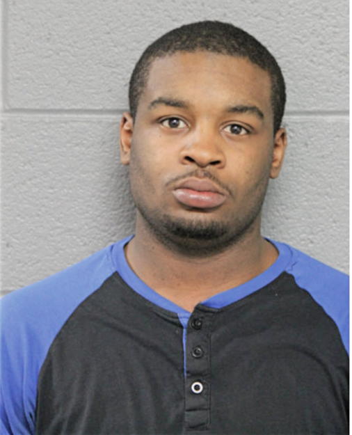 ANTHONY T LEWIS, Cook County, Illinois