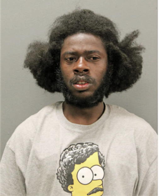CHRISTOPHER T LITTLE, Cook County, Illinois