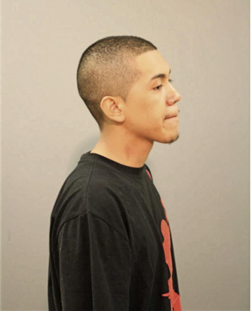 MICHAEL MARTINEZ, Cook County, Illinois