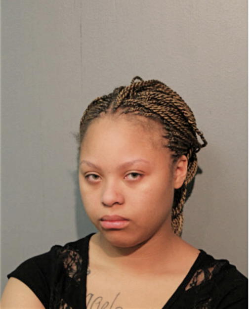 BRITTANY T MCGOWAN, Cook County, Illinois