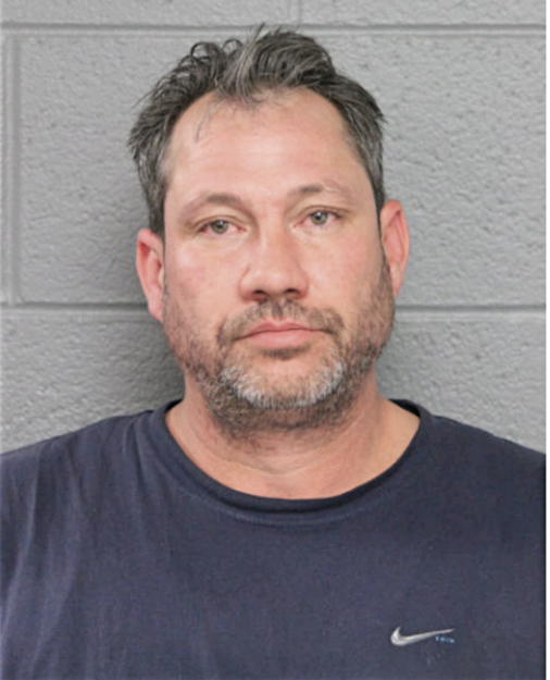MICHAEL J PANICI, Cook County, Illinois