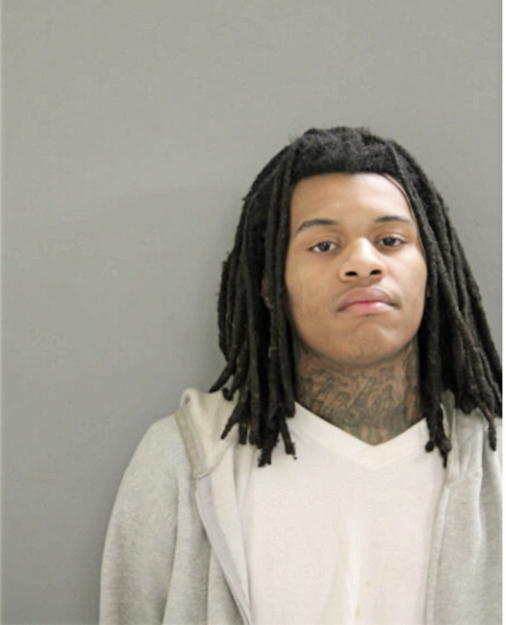 SETH M RICHARDSON, Cook County, Illinois