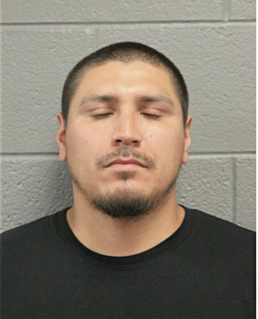 MARCO A SALAS, Cook County, Illinois