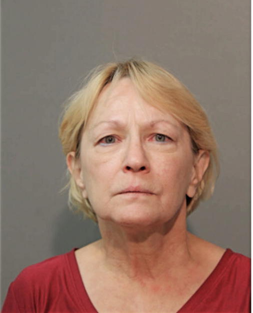 JUDY K SAYDAK, Cook County, Illinois