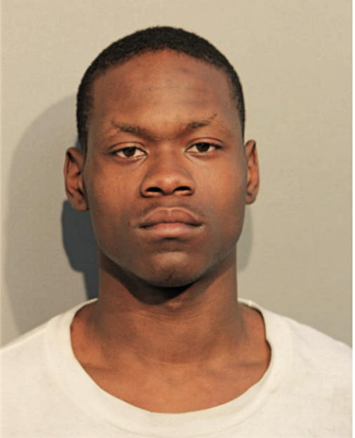 TERRY T SPEARMAN, Cook County, Illinois