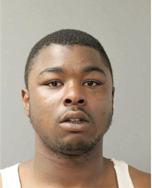 LAMARR D STONE, Cook County, Illinois