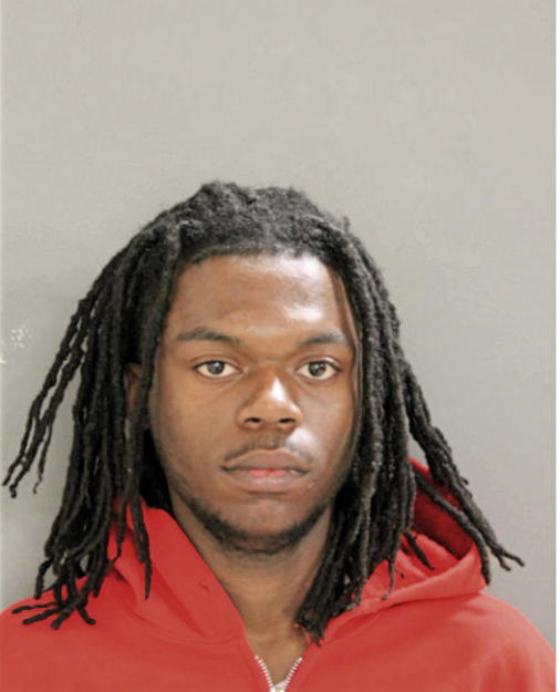 ARIC L TYLER, Cook County, Illinois