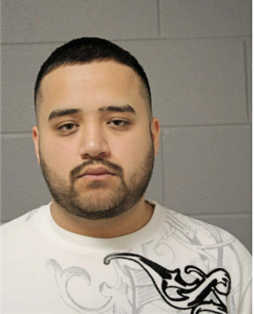 DANIEL ZAPIEN, Cook County, Illinois