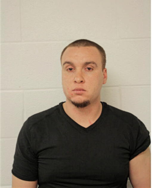 RAUL P ZETINA, Cook County, Illinois
