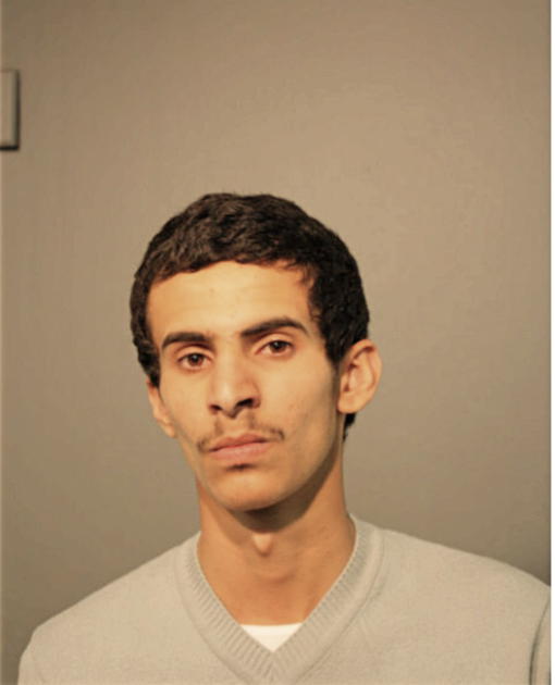 SAEED H ALYAMI, Cook County, Illinois