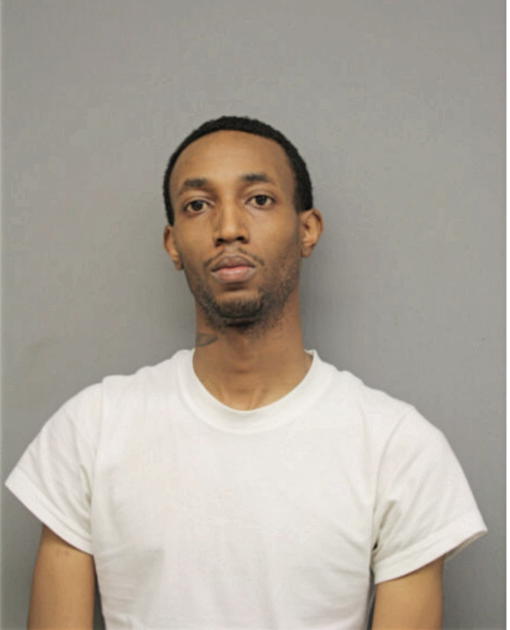 WALTER D AMMONS, Cook County, Illinois