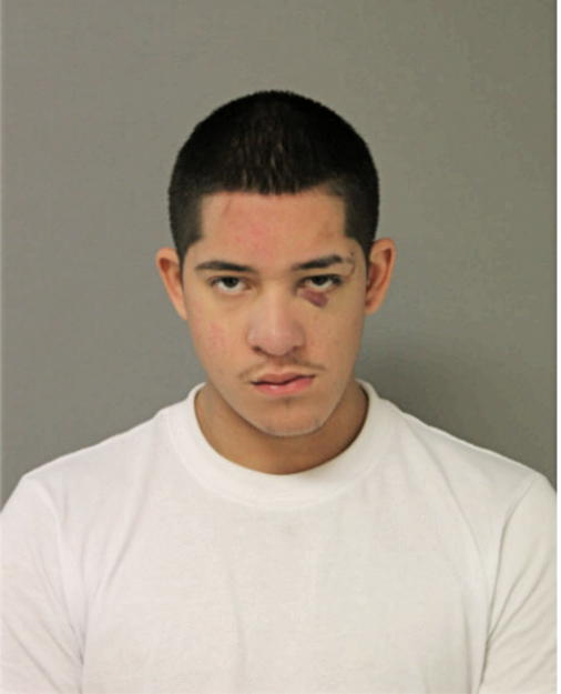 ALEXANDER ARDON, Cook County, Illinois