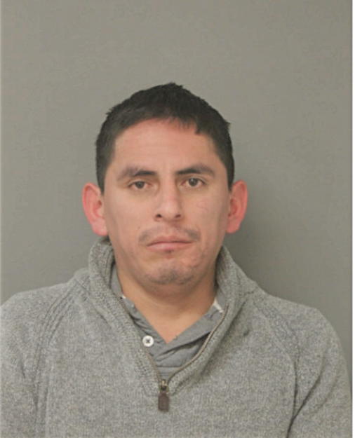 VICTOR JAVIER ARIAS-PULGARIN, Cook County, Illinois