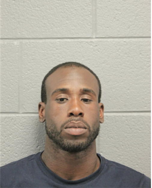 BRANDON T CHAPMAN, Cook County, Illinois