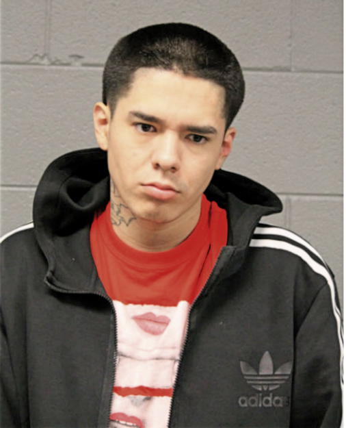 JUAN C CRUZ, Cook County, Illinois