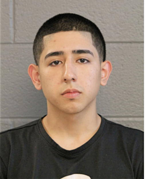 PHILIP C DELAMORA, Cook County, Illinois